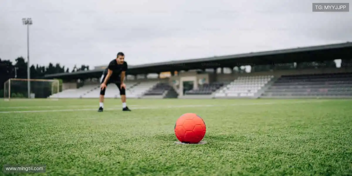 👕 球迷专属，个性定制！从球衣到潮 T，每一件都是你的主场战袍！